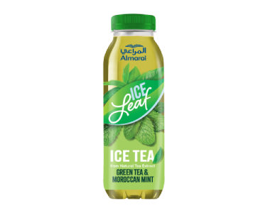 ICE LEAF GREEN TEA & MOROCCAN MINT 400ML